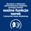 HILL'S PD K/D Kidney + Mobility Chicken - sausas kačių ėdalas - 3kg