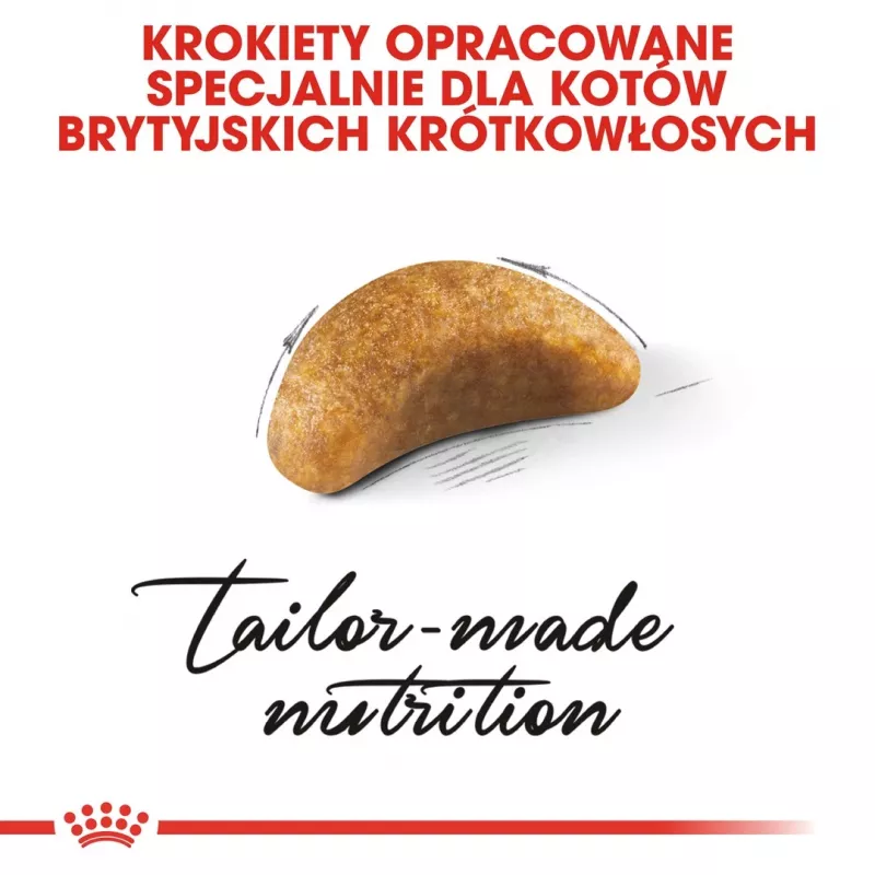 Sausas kačių ėdalas Royal Canin British Shorthair Kitten 2 kg – vištiena, 38% baltymų, 20% riebalų, augimo formulė