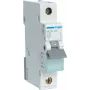 Automatinis jungiklis Hager MCN140, 40 A, C charakteristika, 1 modulis