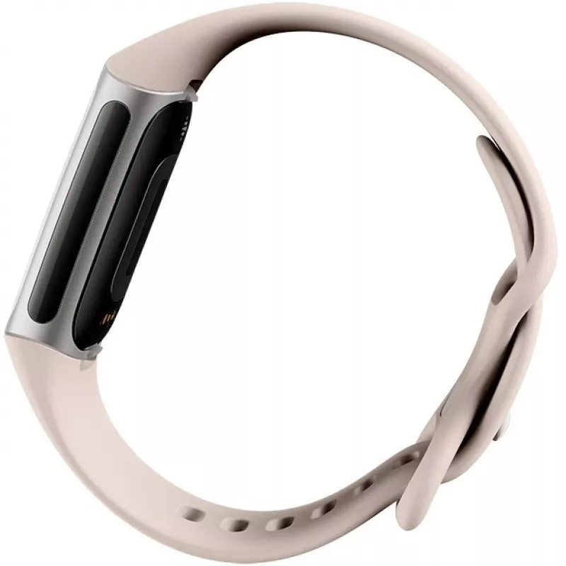 Fitbit GA05185-EU Sidabrinė
