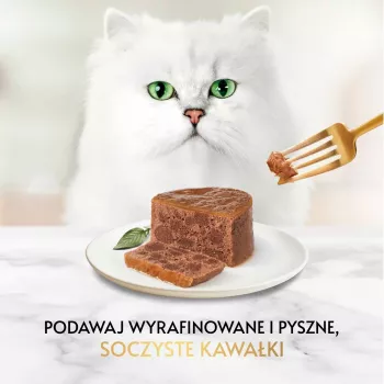 Šlapias kačių ėdalas Gourmet pâté su triušiena 85 g