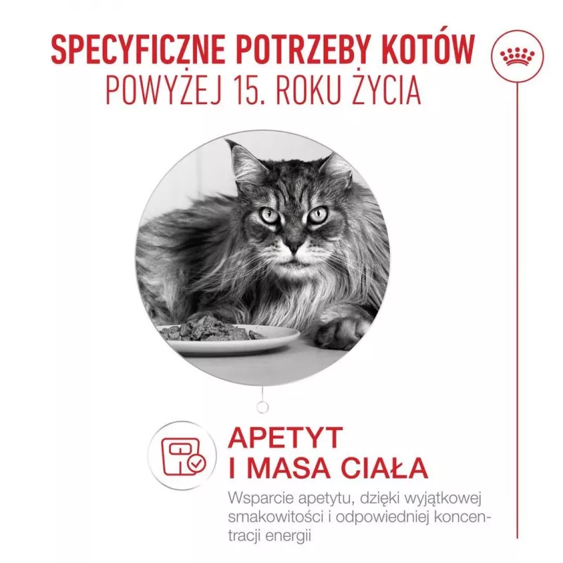 ROYAL CANIN Ageing 15+ sausas kačių pašaras 4 kg