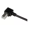 StarTech.com 3 m USB 2.0 A į stačiu kampu B laidas - vyras/vyras