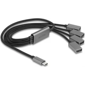 DeLOCK 64210 USB 2.0 Type-C 4 prievadų USB-A šakotuvas 480 Mbit/s juoda pilka