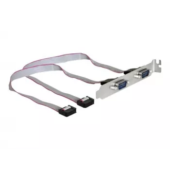 DeLOCK 89083 PCI sąsajos lizdo laikiklis su dviem DB9 prievadais