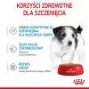 ROYAL CANIN SHN Mini Puppy padaže – šlapias ėdalas šuniukams – 12x85g