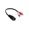 Alcasa AD-2CS5B Garso kabelis 0,2 m 2 x RCA DIN (5 kontaktų) Juoda - Raudona - Balta