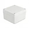 DeLOCK montažinis korpusas IP65 125 x 125 x 75 mm pilkas