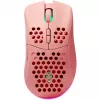 Deltaco GAM-120-P belaidė žaidimų pelė, rožinė, 4800 DPI