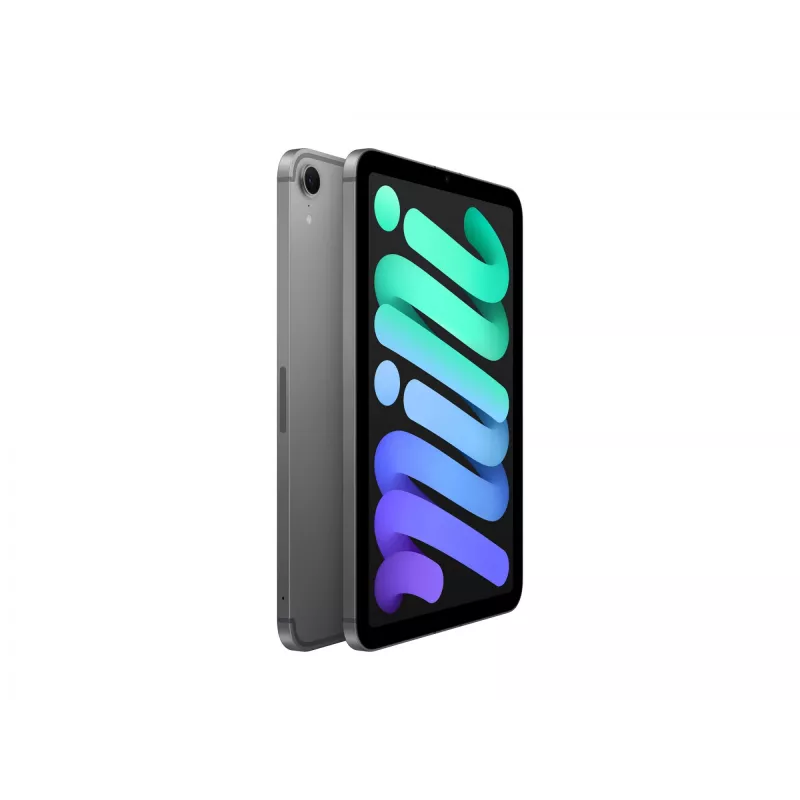 Apple iPad mini 5G TD-LTE & FDD-LTE 128 GB 21,1 cm (8,3 inch) Wi-Fi 6E (802.11ax) iPadOS 18 Pilka