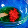Liscianigiochi mokslo rinkinys Crazy Science Slime Chameleon 304-PL89246 – edukacinis gleivių eksperimentų rinkinys