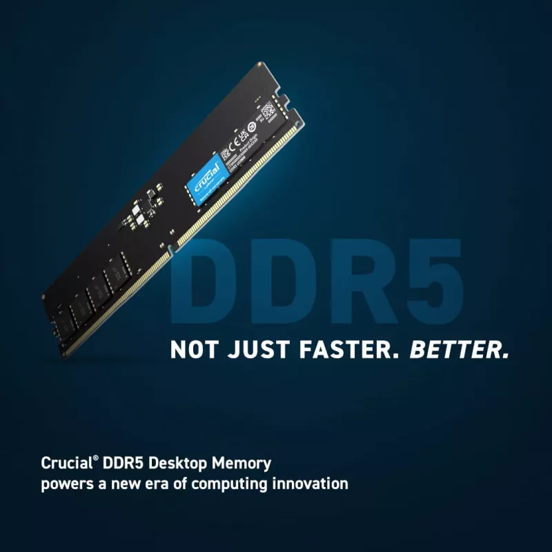 Crucial Pro - DDR5 - Modul - 16 GB - DIMM 288-PIN Low Profile
