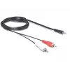 Garso kabelis DeLOCK 84000 1,5 m 2xRCA 3,5 mm Juodas