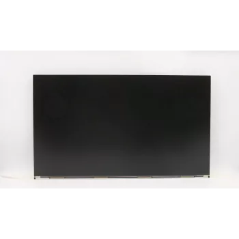 Lenovo 5D10W33963 ekranas