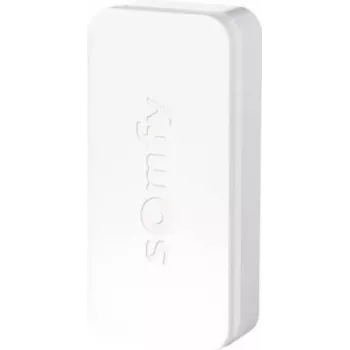 Somfy 2401487 - Baltas - Belaidis - Vidaus - 200 m - Baterija/Baterija - AAA (2401487)