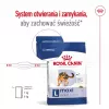 Sausas šunų ėdalas Royal Canin Maxi Adult 15 kg – Vištiena, 26% baltymų, 17% riebalų, virškinimo palaikymas
