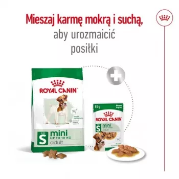 Sausas šunų ėdalas Royal Canin Adult Mini S 8 kg – visavertė mityba mažų veislių suaugusiems šunims