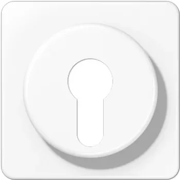 JUNG CD 528 WW - Baltas - Termoplastas - Blizgus - IP44