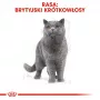 Šlapias ėdalas katėms Royal Canin British Shorthair Adult maišelyje 85 g, paukštiena, ROYAL CANIN Feline Breed Nutrition