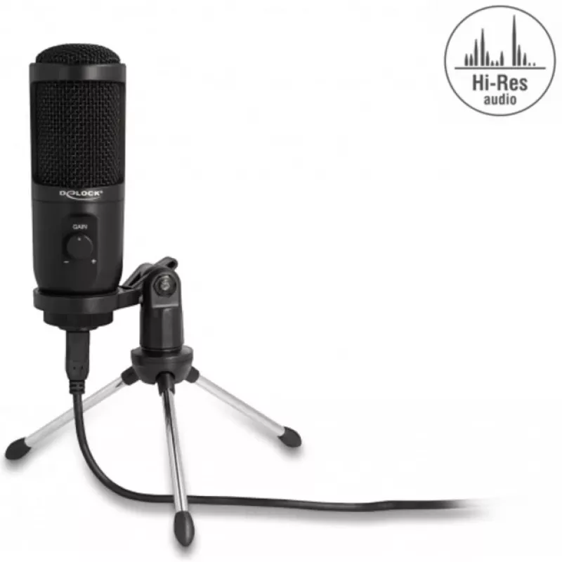 Delock 66832 USB mikrofonas juodas