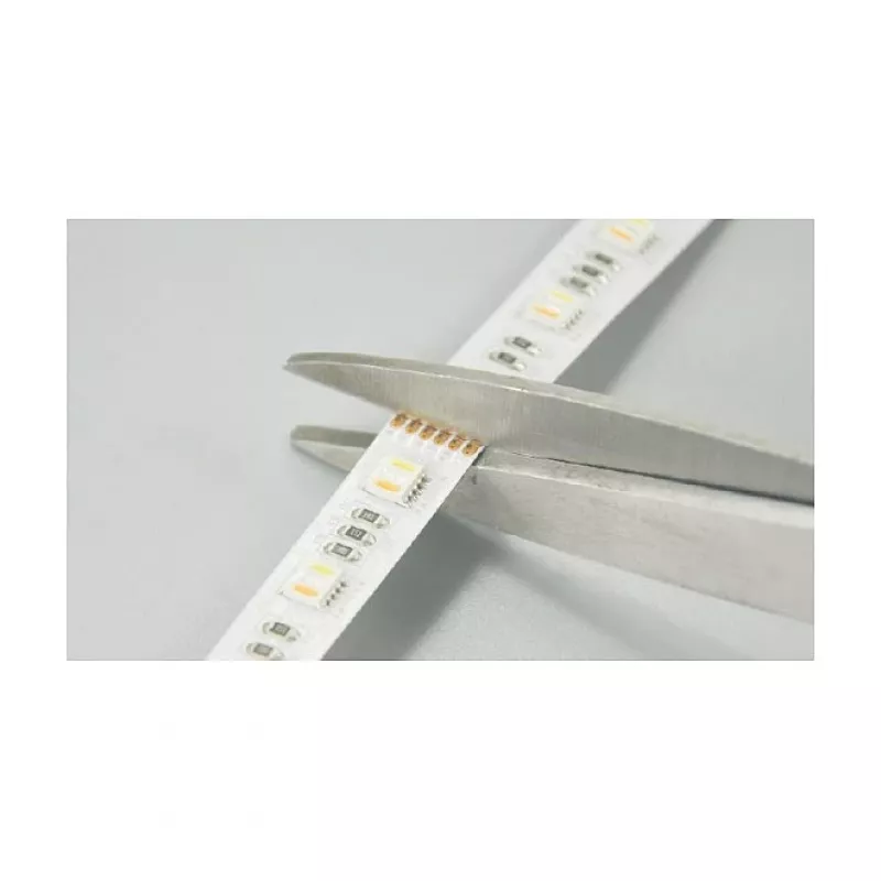 Synergy 21 LED Flex Strip 5050 - 84 RGB DC24V + RGB-WW (RGB-CCT) vieno lusto HD IP20