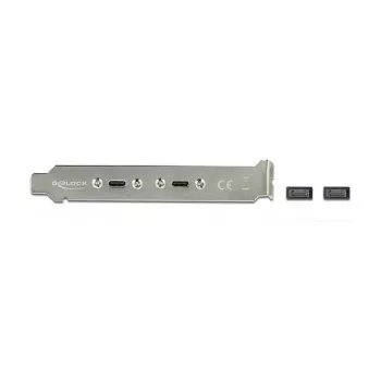 DeLOCK 89935 lizdo laikiklis su 2 x USB Type-C prievadais