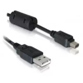Laido kamera DeLOCK Olympus 12 kontaktų USB 1 m