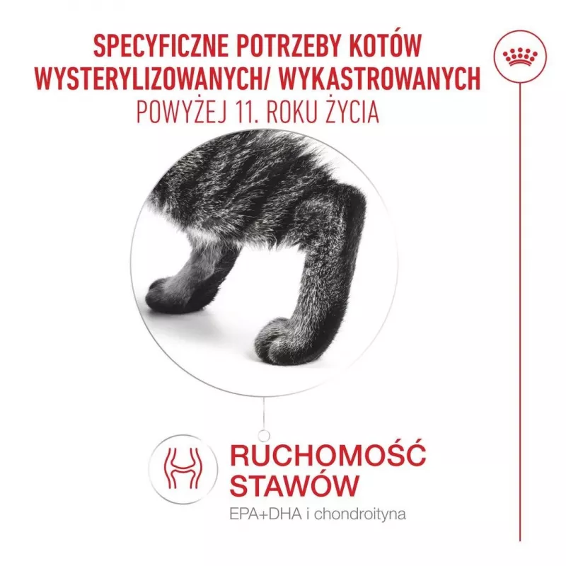 Sausas kačių ėdalas Royal Canin FHN Ageing 11+ 4 kg – pilnavertis ėdalas senjorams, paukštiena, 30 % baltymų