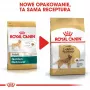 ROYAL CANIN BHN Golden Retriever sausas šunų maistas - 12kg