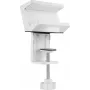 SpeaKa Professional Universalus Laikiklis Su Gnybtu Kištukiniam Lizdui SP-PSH-001 SP-13403152 Baltas 1 vnt.