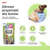 INABA Juicy Bites Homestyle sultinys su kalmaru – skanėstai katėms – 3x11,3 g