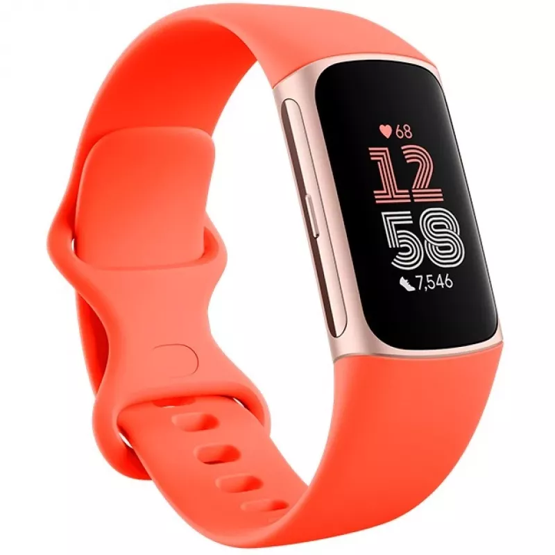 Fitbit Charge 6 - Champagne Gold Aluminium - Aktivitätsmesser mit Infinity Band - Silikon - korallefarben - NFC, Bluetooth - 37.64 g (40-56-7910)