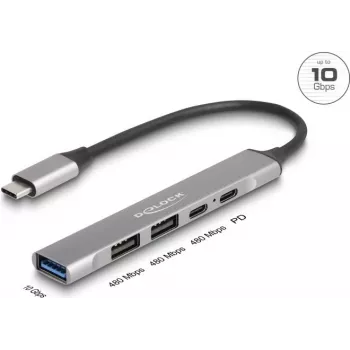 DeLOCK 64298 USB 3.2 Gen 2 Type-C stotelė 4 prievadai, metalinis korpusas, pilka