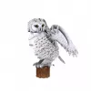 CubicFun 3D dėlionė NG Snow Owl 32 detalės Gyvūnai Nuo 8 metų