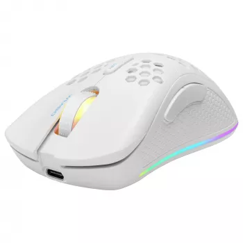 Belaidė RF pelė žaidimams Deltaco GAM-120-W, balta, USB Type-C
