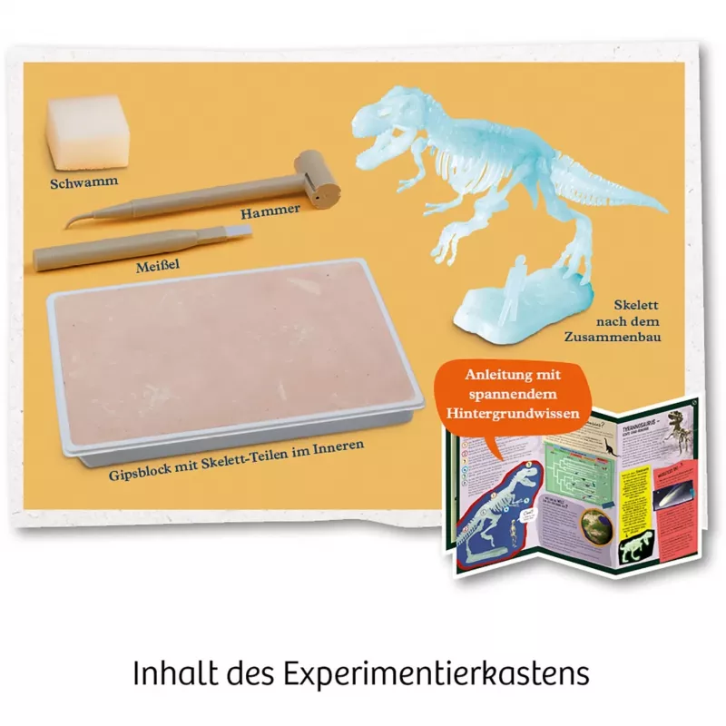 Kosmos T-REX papildytos realybės rinkinys, 7+ metų, Žalia