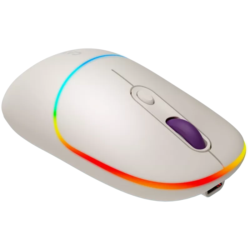 CANYON pelė MW-22 2-in-1 BT/Belaidė Rice