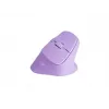 NATEC Crake 2 pelė universali Dešiniajai rankai RF belaidė + Bluetooth optinė 2400 DPI