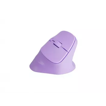 NATEC Crake 2 pelė universali Dešiniajai rankai RF belaidė + Bluetooth optinė 2400 DPI