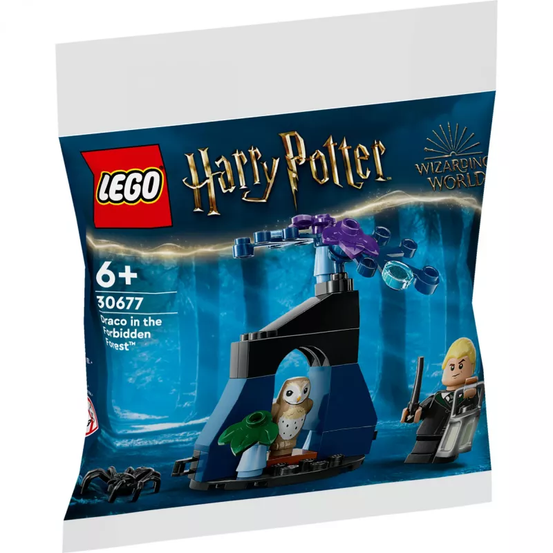LEGO Harry Potter rinkinys 30677 – Drakas Uždraustajame miške minifigūrėlės scena