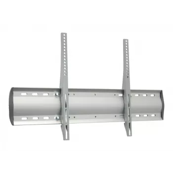 Ergotron 60-604-003 sidabrinis monitoriaus laikiklis