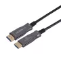 HDMI kabelis Gembird CCBP-HDMI-AOC-30M-02 30 m HDMI A tipas vyriškas juodas