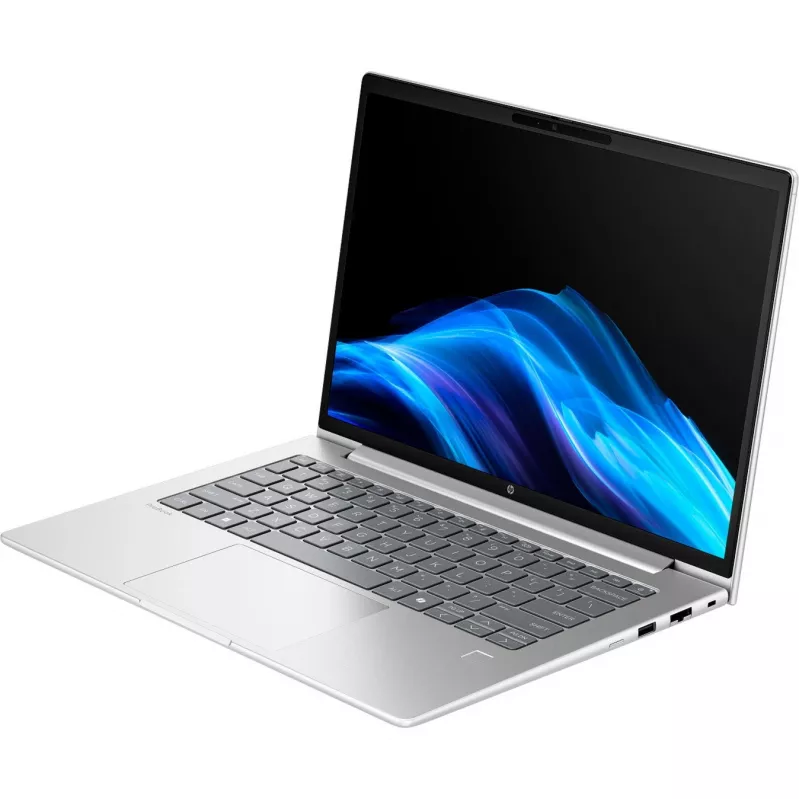 Nešiojamas kompiuteris HP ProBook 4 G1a (C07P5ES), sidabrinis, AMD Ryzen 5 230, AMD Radeon 760M, 24 GB DDR5, 1 TB SSD, be operacinės sistemos