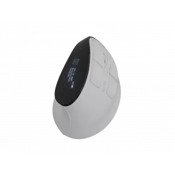 Belaidė vertikali pelė NATEC Euphonie Pro Bluetooth 5.0, 4000 DPI, programuojama, tyli, balta