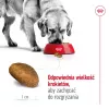 Sausas šunų ėdalas Royal Canin Maxi Adult 15 kg – Vištiena, 26% baltymų, 17% riebalų, virškinimo palaikymas