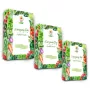 Toraf Seed Set - Rinkinys 2X3 2024 Toraf 36X1VNT