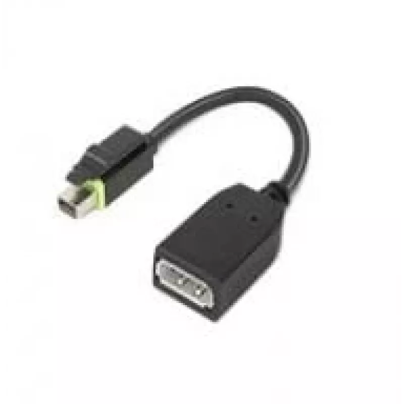 Lenovo 4X90Q93975 vaizdo kabelio adapteris Mini DisplayPort → DisplayPort, juodas