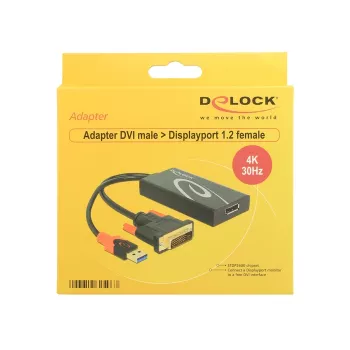 Adapterinis kabelis DVI 24+1 + USB-A / DisplayPort 20p DeLOCK 62596, 0,3 m