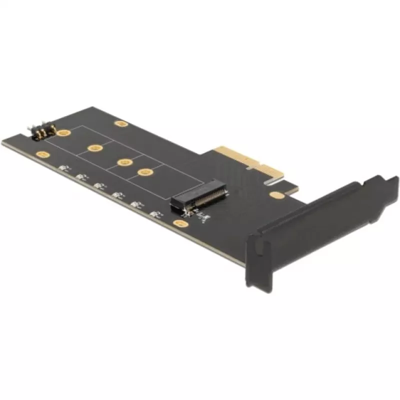 DeLOCK 89013 Vidinė M.2 PCIe sąsajos plokštė, Low-profile