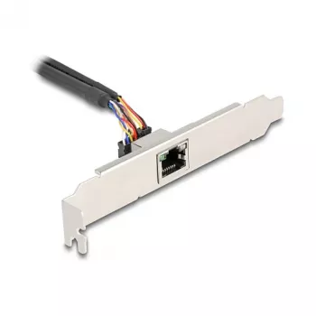 DeLOCK 95268 Vidinė RJ-45 adapterio plokštė Mini PCI Express 2.5 Gbit/s